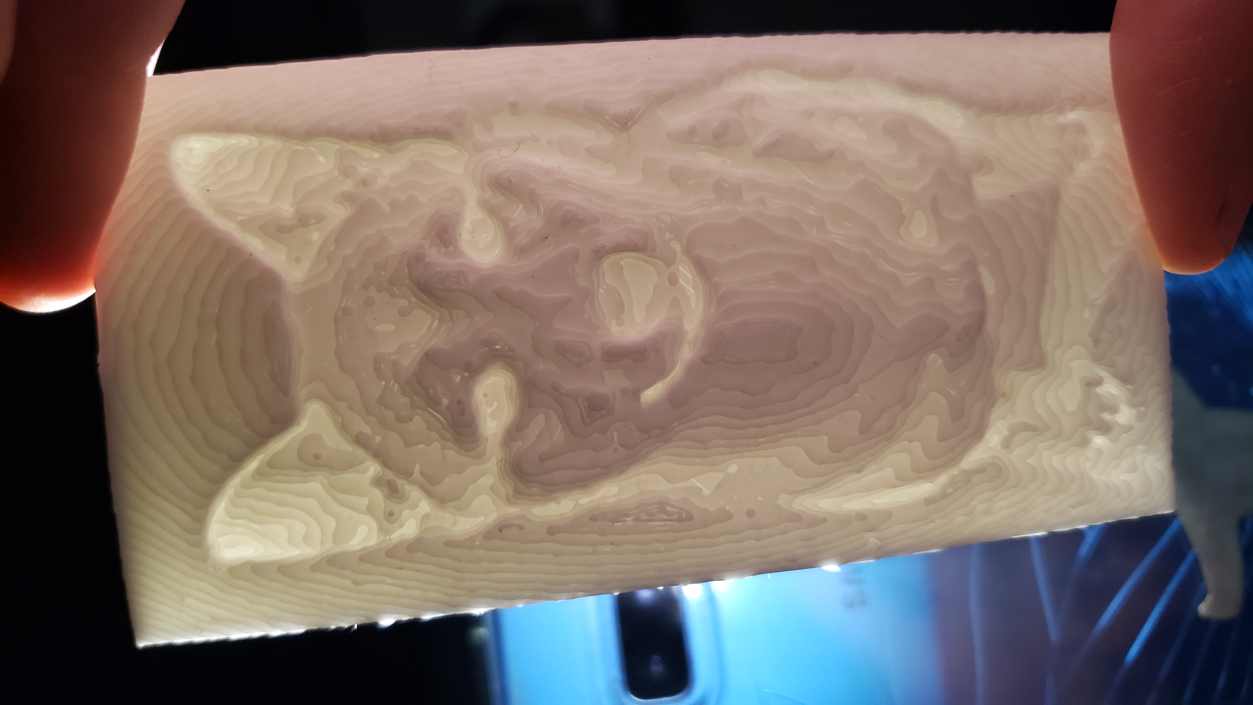 Lithophane of dog